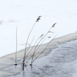 Winter, Engbergen-Gendringen