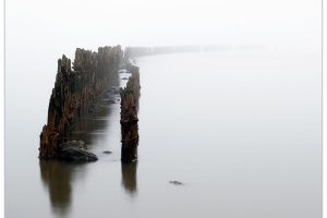 Mist op de Waddenzee bij Wierum [FR3_0076]
