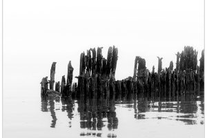 Mist op de Waddenzee bij Wierum [FR3_0077ZW]